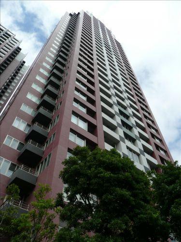 THE TOWERS DAIBA