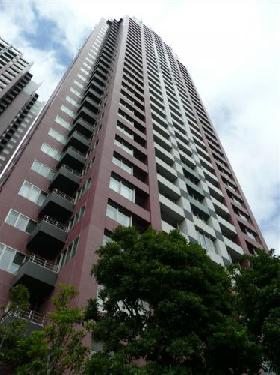 THE TOWERS...の外観写真